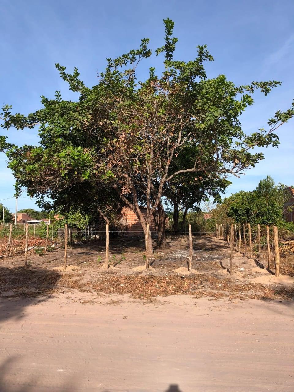 Terreno à venda - ,